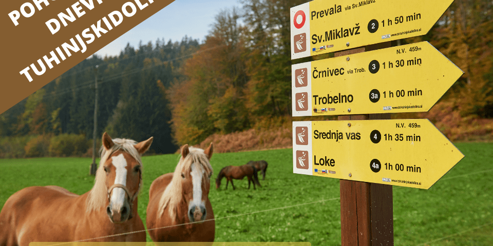 foto-za-novice-SPLET_E-TRGOVINA-3