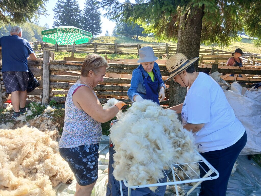 Volnarke oživljajo znanje in navdušujejo mlade
