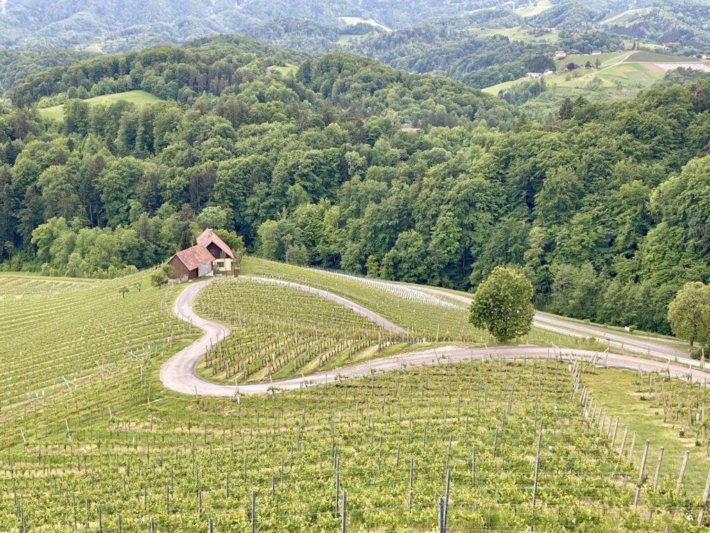 Posvet in ogled dobrih praks v LAS Srce Štajerske